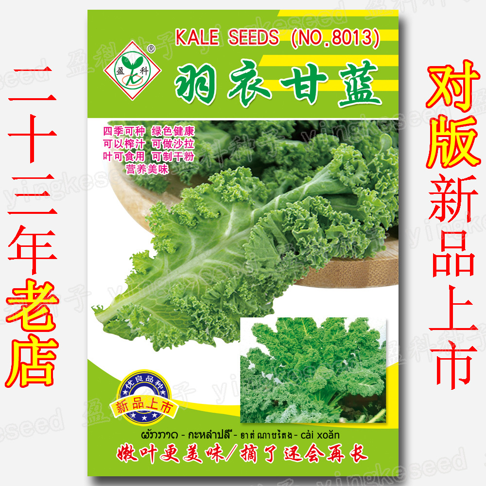 About 100 Kale Seeds. Four-Season Green, Healthy, Juicable, Tender and Delicious Salad Vegetable Seeds for Leaves