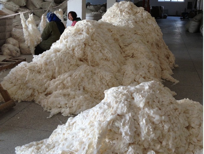 Tussah silk fine dried cocoon silk cocoon shell silk raw material pressed silk light tire raw material drawing machine cocoon machine available