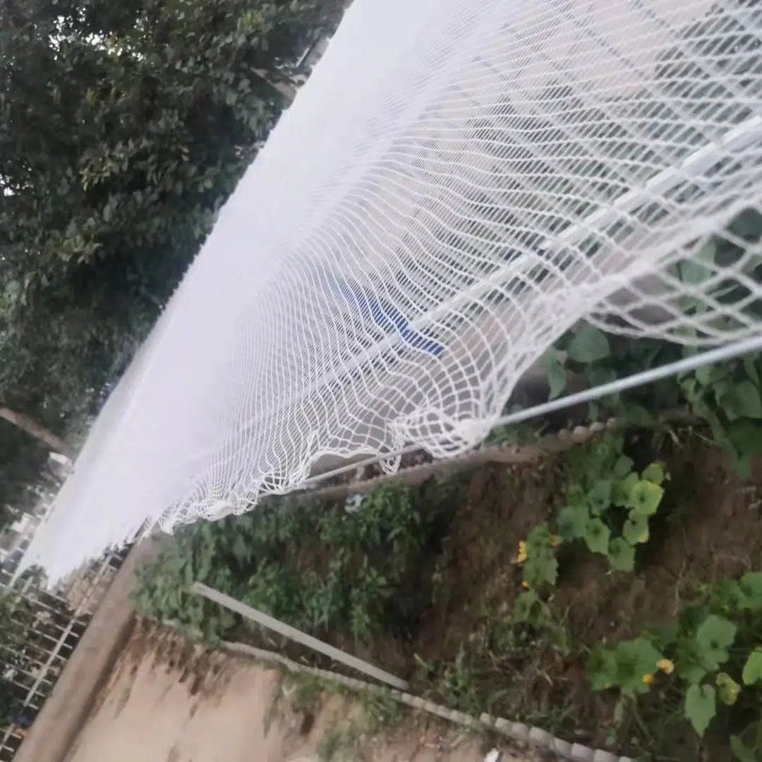 Factory Direct Sales Orchard Anti-Hail Net 0.8cm Apple Grape Pear Tree Fish Pond Greenhouse Anti-Hail Net New Material