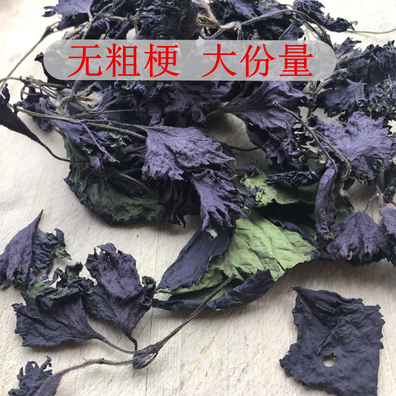 Fresh Wild Perilla Leaves, Dried Farm Perilla Leaves for Tea and Bath, to Remove Fishy Smell and Freshen Edible Spices, No Thick Stems, Free Seeds