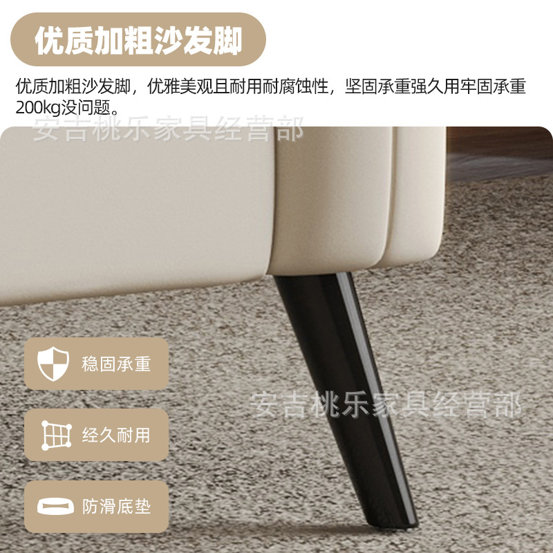 Sofa Small Apartment Rental House Diswashable Technology Cloth Sofa Living Room Clothing Store Rest Area Reception Double Small Sofa