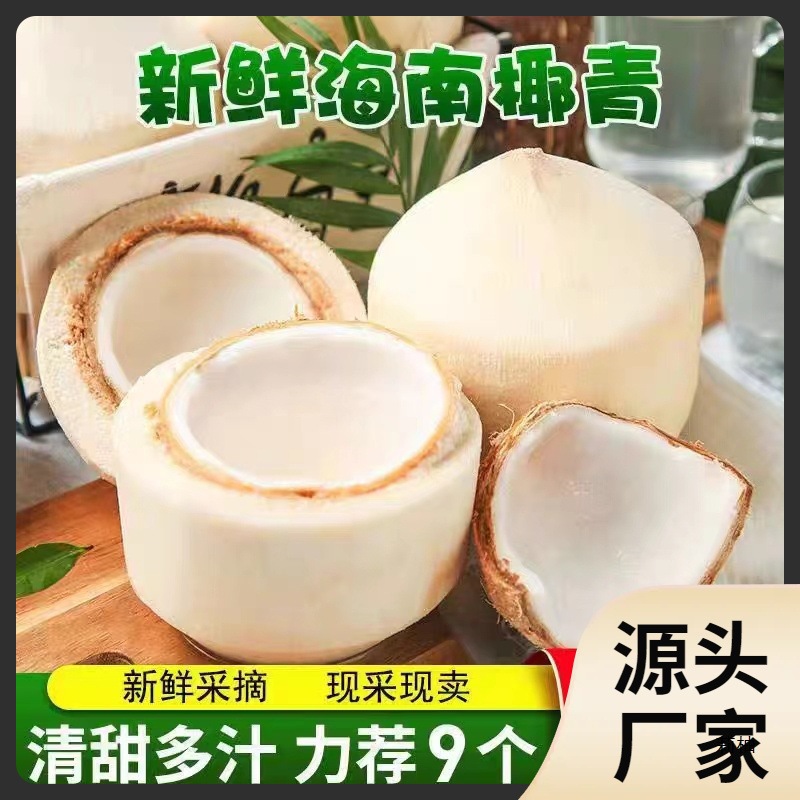 Ll Help Farmers Hainan Wenchang Coconut Green 9 Pack Fresh Coconut Pregnant Women Fruit Coconut Juice Meat Peeled Whole Box
