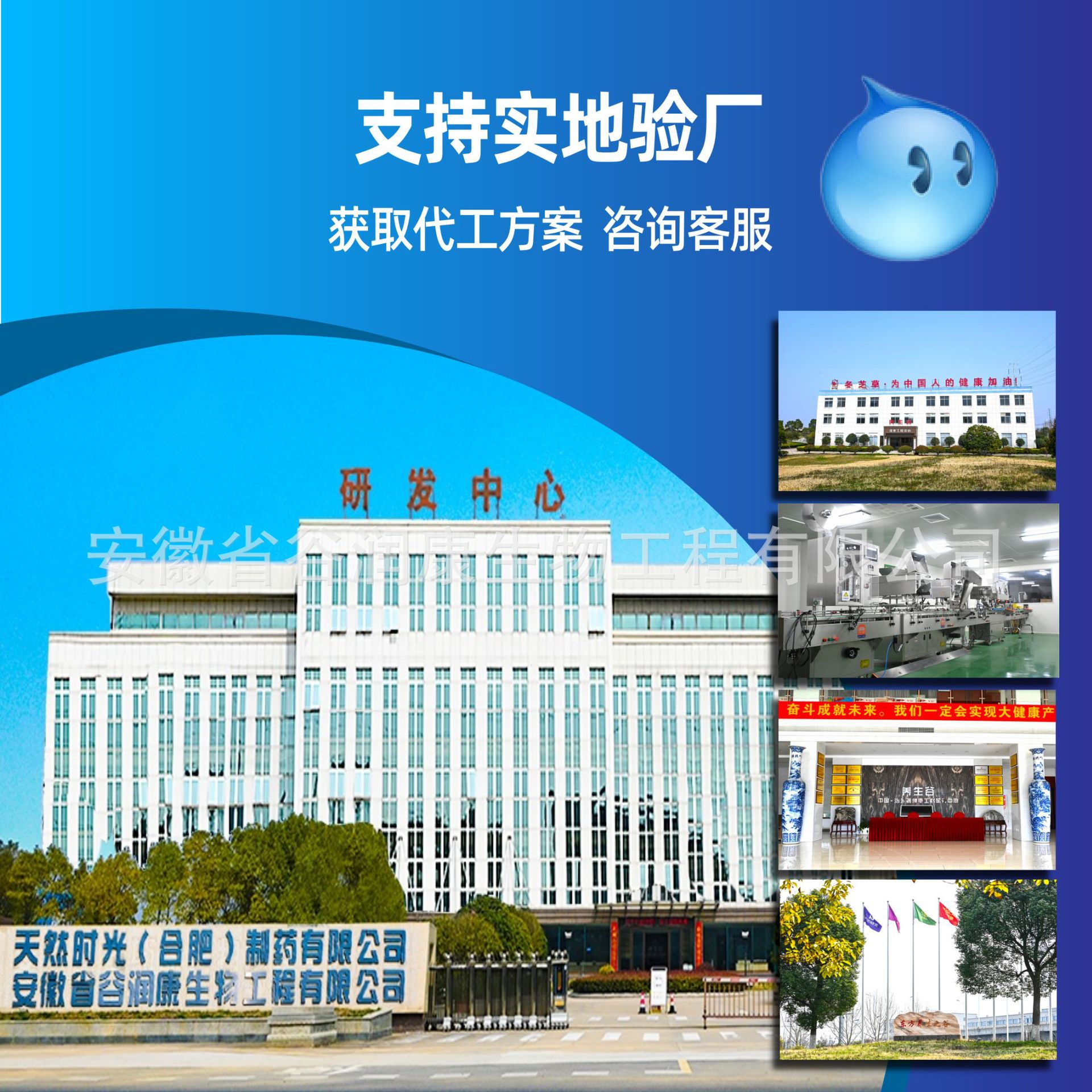 New barley seedling powder AMAZING organic Barley Grass seedling powder IAM cross-border square bag green juice