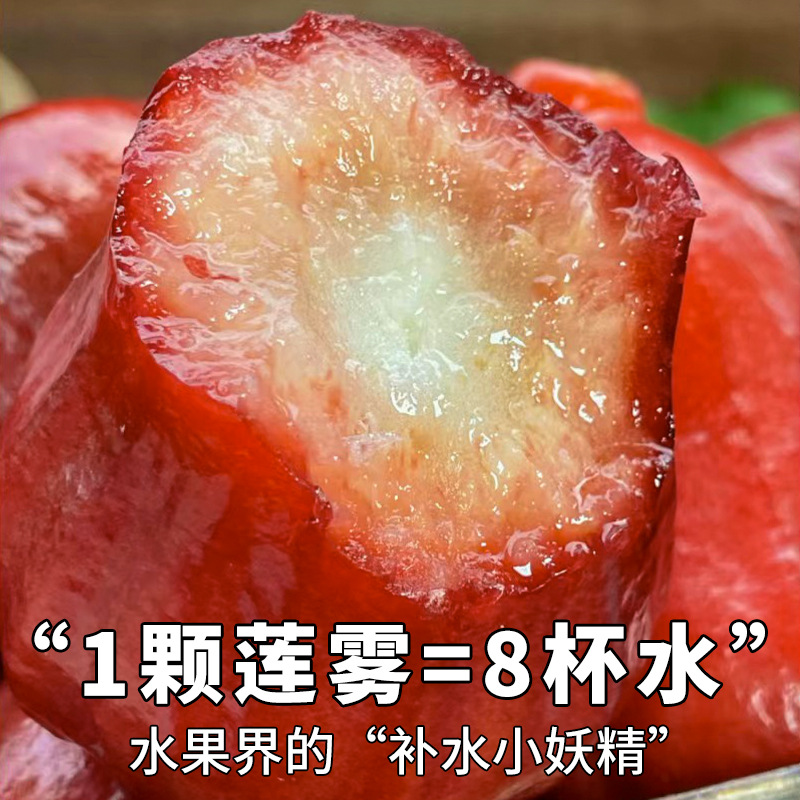 Sf Express 2.5kg Hainan Black Diamond Lotus Mist Fruit Gift Box Lotus Mist Fruit Fresh Large Fruit Lotus Mist Whole Box Free Shipping