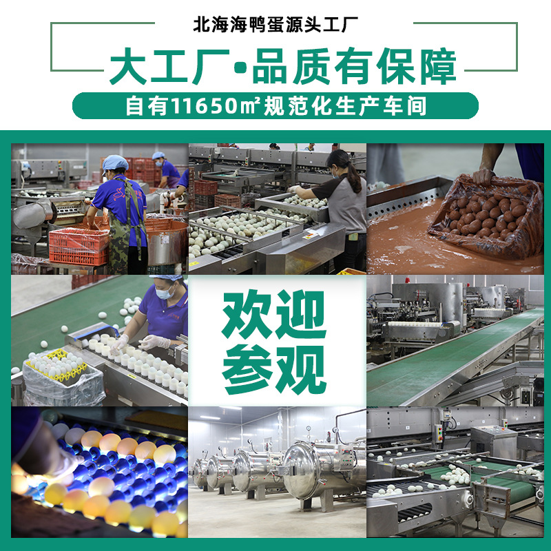 Source Manufacturer Beibu Bay Mangrove Sea Duck Egg Single Large Salted Duck Egg Oem Wholesale Beihai Specialty