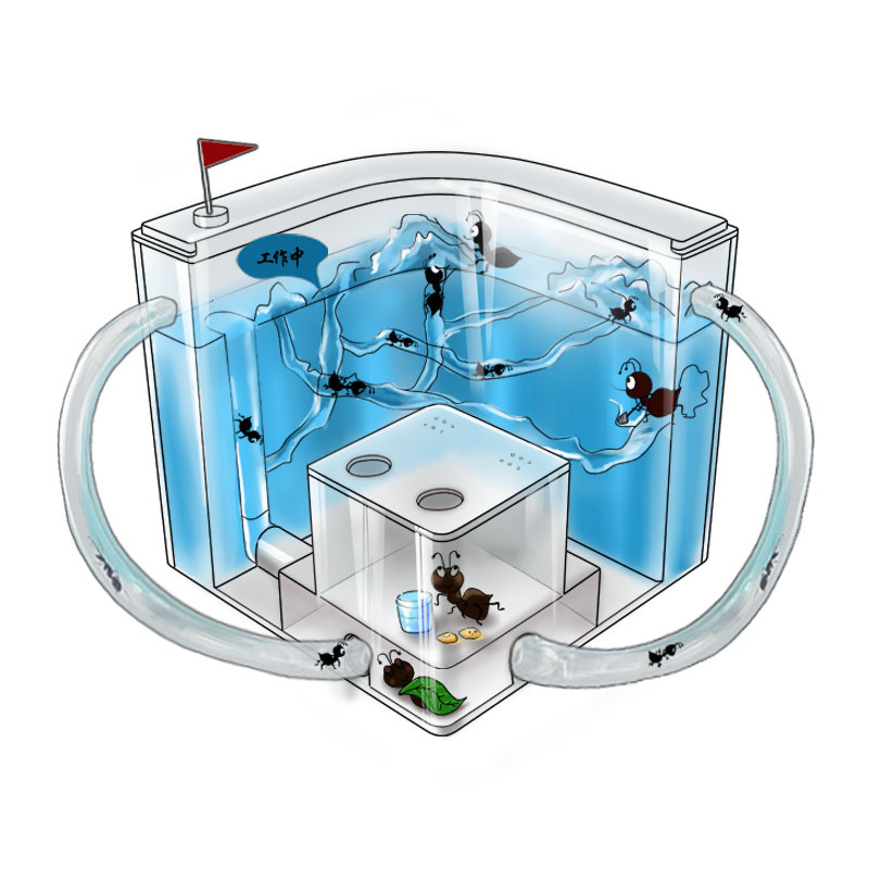 Funny creature Ant Workshop Ant Villa home castle children's educational toys children's toys scientific toys