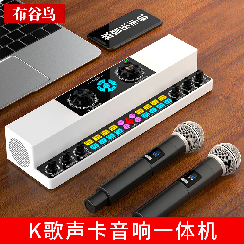 Кукушка Y6 живая пение звуковая карта аудио все-в-одном устройство для indoor outdoor танцевальная караоке беспроводной Bluetooth динамик