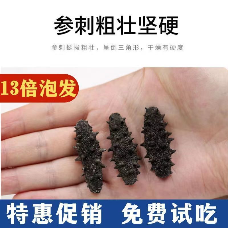 [Pure Light Dried Small Sea Cucumbers] Dalian Sea Cucumber Dry Goods Wild Sea Cucumber Small Dried Sea Cucumber Liaocheng Non-Ready-To-Eat Sea Cucumber