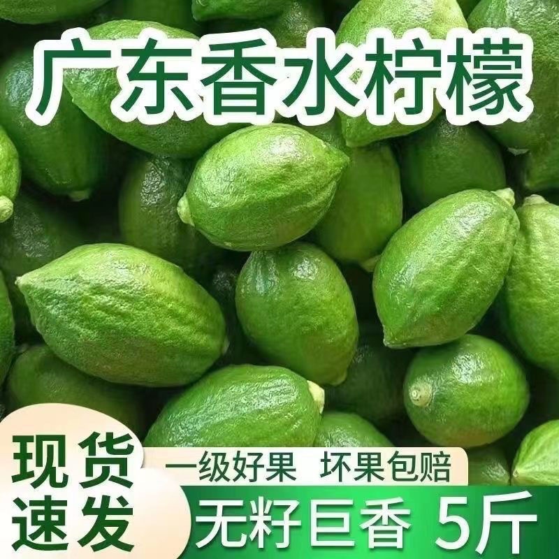 Свежесобранные из сада, аутентичные безкосточковые лимоны Гуандун, 1-й сорт, ручной лимонный чай, коммерческий для молочного чая