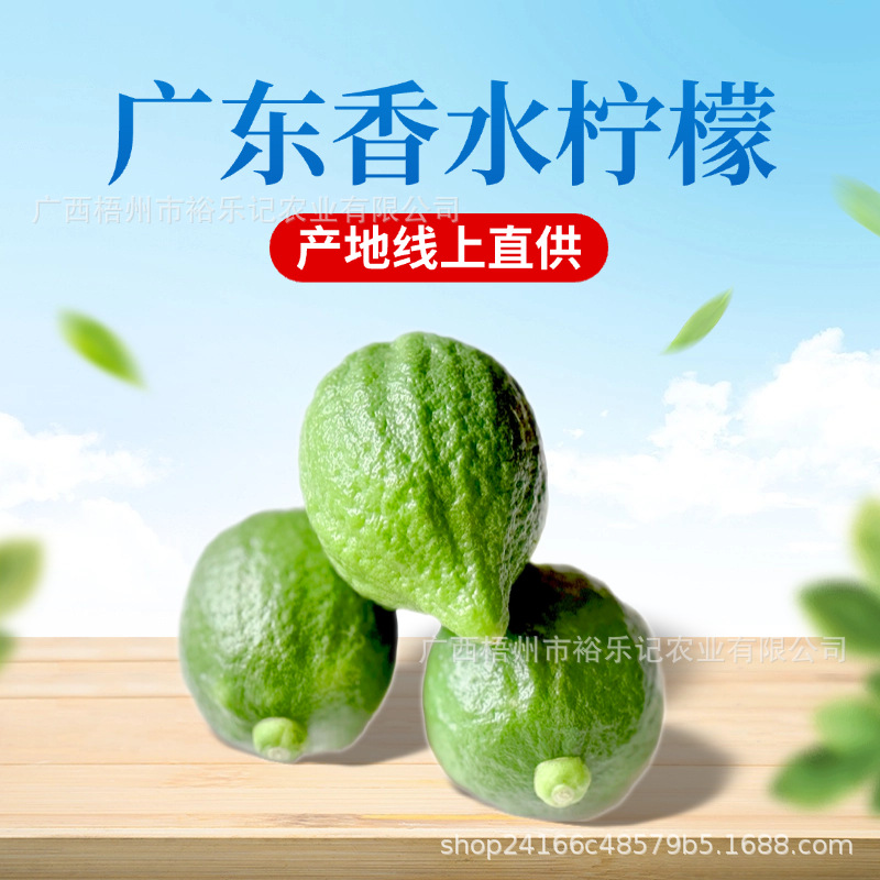 Прямые поставки из места происхождения, Гуандун, лимон 1-го сорта, свежие фрукты для молочных чайных магазинов, 5 фунтов, 5кг, свежие прямые поставки