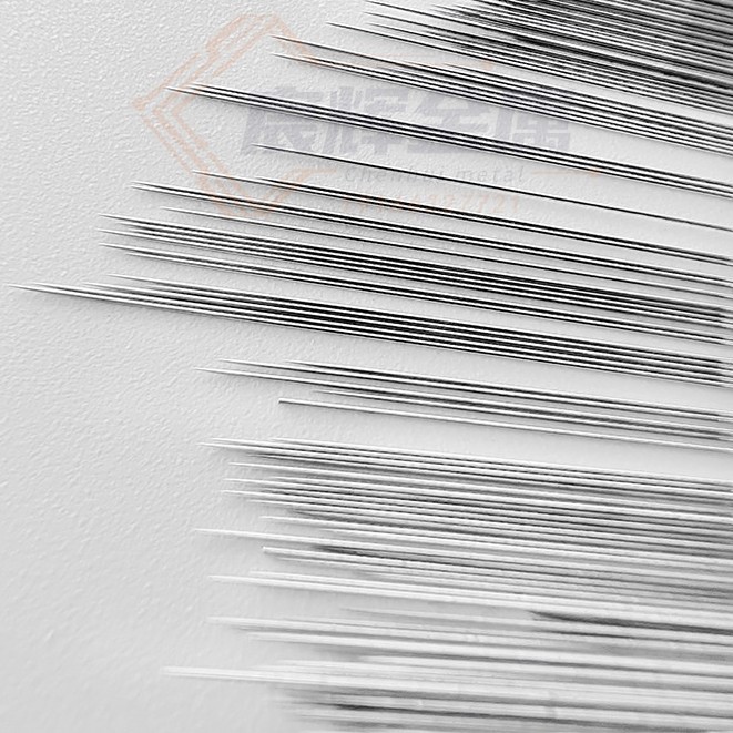 Solid Beauty Roller Needle, Stainless Steel Gold-Plated Micro-Needle, Single and Double-Ended Sharpening, Beauty Needle Water-Gloss Needle Sharpening