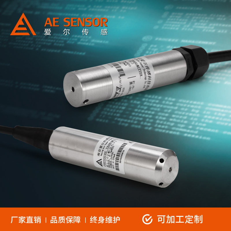 Immersion Level Transmitter Factory Customized Hydrostatic Stainless Steel Water Tank River Water Level Sensor 4-20Ma