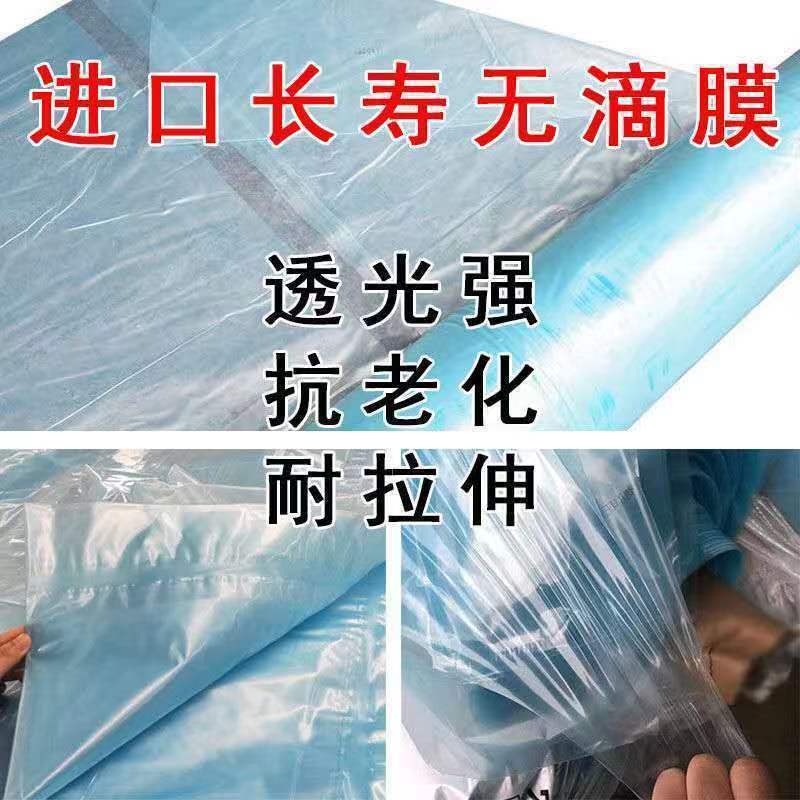 Li Jian Orchard Greenhouse Film Blue Dripless Plastic Cloth Film Agricultural po Dapeng Thickened Vegetable Insulation Room Transparent Raising