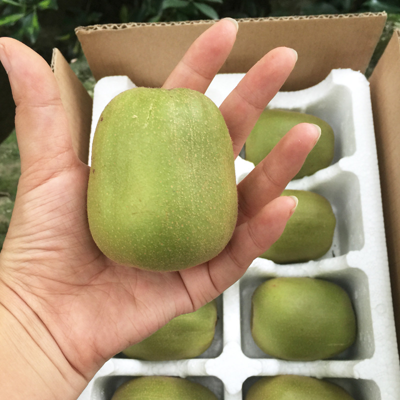 Red Heart Kiwi Fruit from Pujiang, Sichuan, for Pregnant Women, Whole Box Wholesale, Gift Box, Sweet and Fragrant