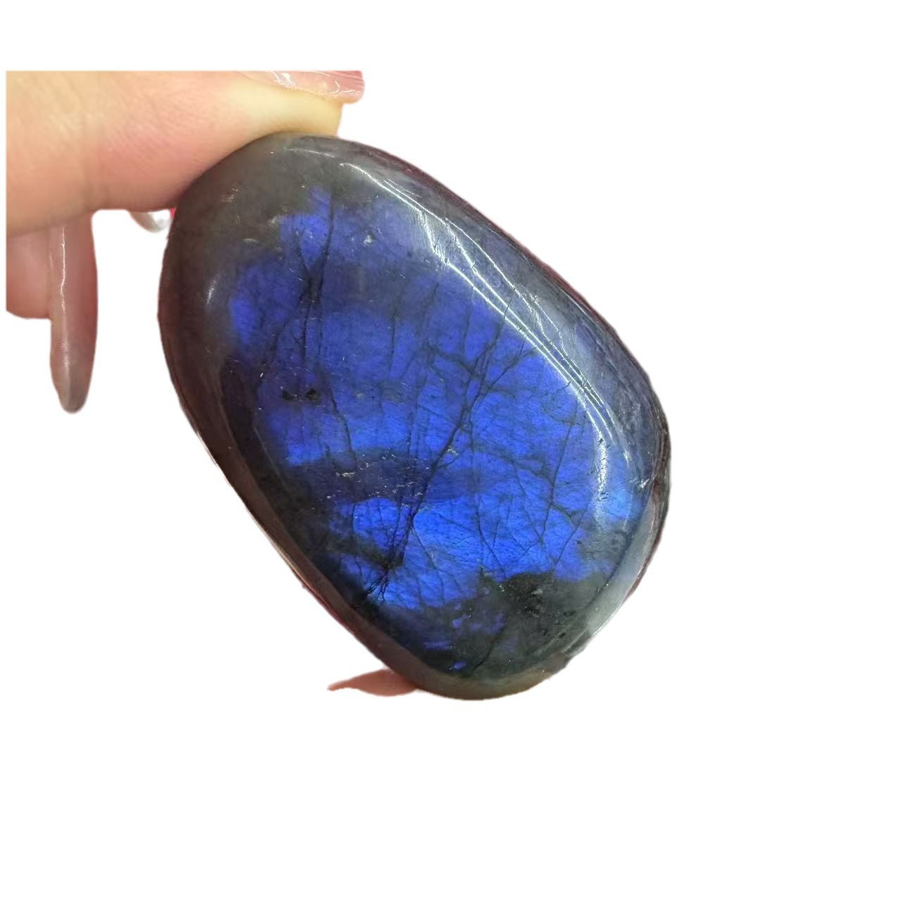 Live dedicated link 1 yuan link