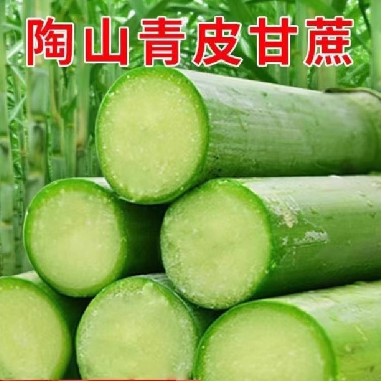 Аутентичный сахарный тростник Таошань, зеленокожий фруктовый тростник из Вэньчжоу, свежесрезанный зеленокожий фруктовый сахарный тростник 2.5кг, подарочная коробка Sf