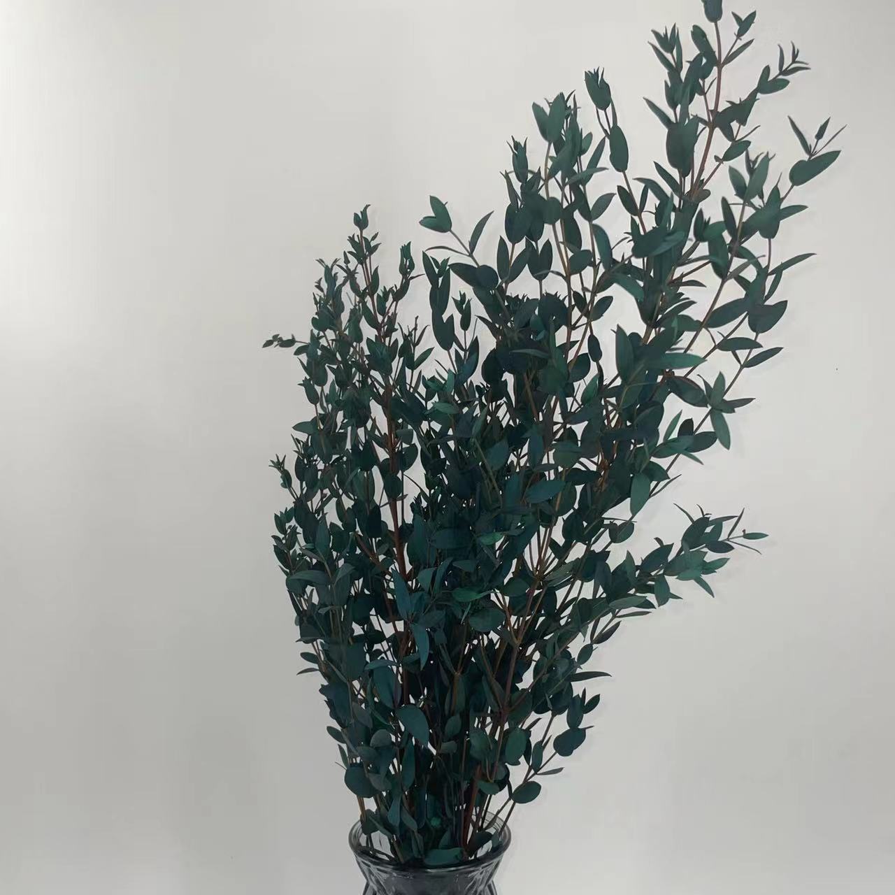 Yongsheng Fine-Leafed Eucalyptus Yunnan Yongsheng Flower Dried Flower Manufacturer Directly Supplies Small-Leafed Eucalyptus and Beautiful-Leafed Eucalyptus