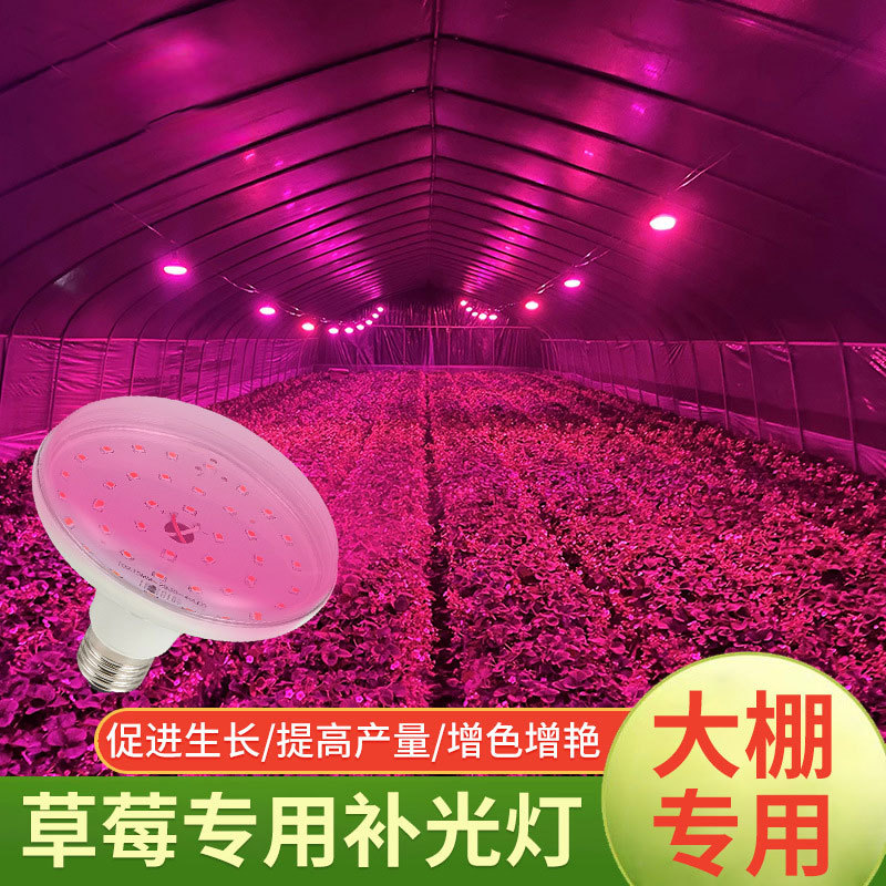 Полный спектр имитация солнечного света лампа для заполнения растений хризантема клубника страсть дракон фрукт летающая тарелка лампа для роста растений оптовая