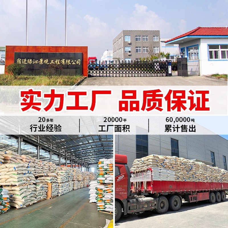 Grass Seeds, Lawn Seeds, All-Season Green, Cold-Resistant and Drought-Tolerant Slope Protection, Manila Dog Tooth, Green Grass, Courtyard Grass Seeds