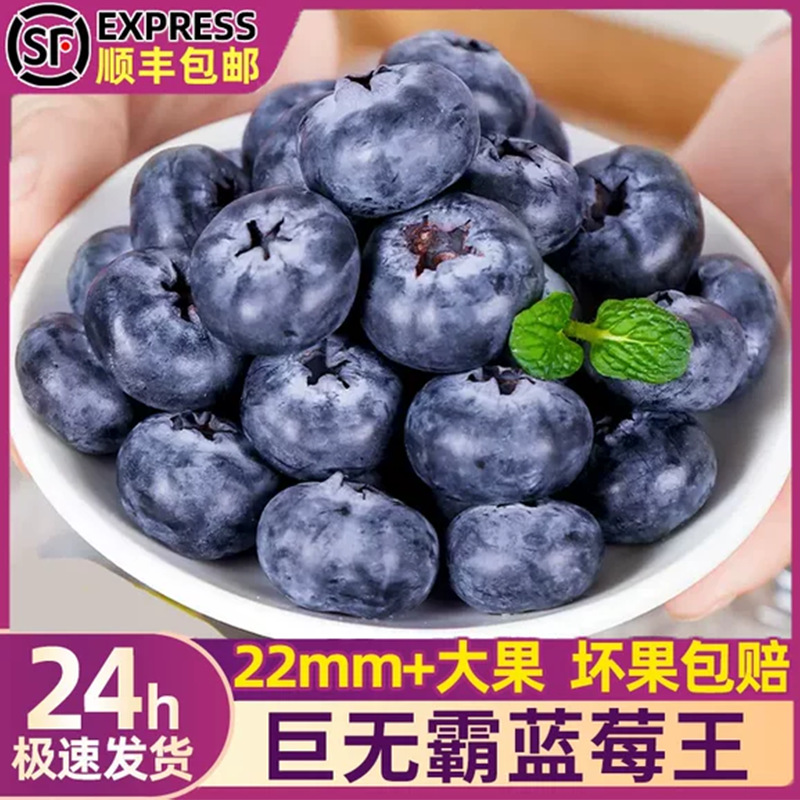 Холодная цепь Sf, свежая голубика из Даньдуна, крупная голубика, не Юньнани, вспомогательная голубика для детей