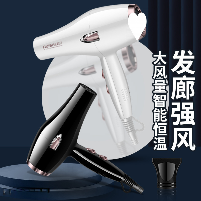 German Hairstylist Hair Dryer Hair Salon High-Power Household Strong Wind Hot and Cold Air Blue Light Negative Ion Hair Care Roll Free Shipping