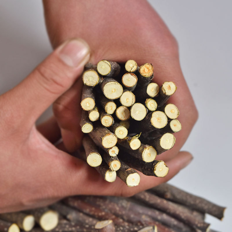 Rabbit Totoro Hamster Snack Branch Bite Wooden Toy Pet Grinding Stick Drying Apple Branch