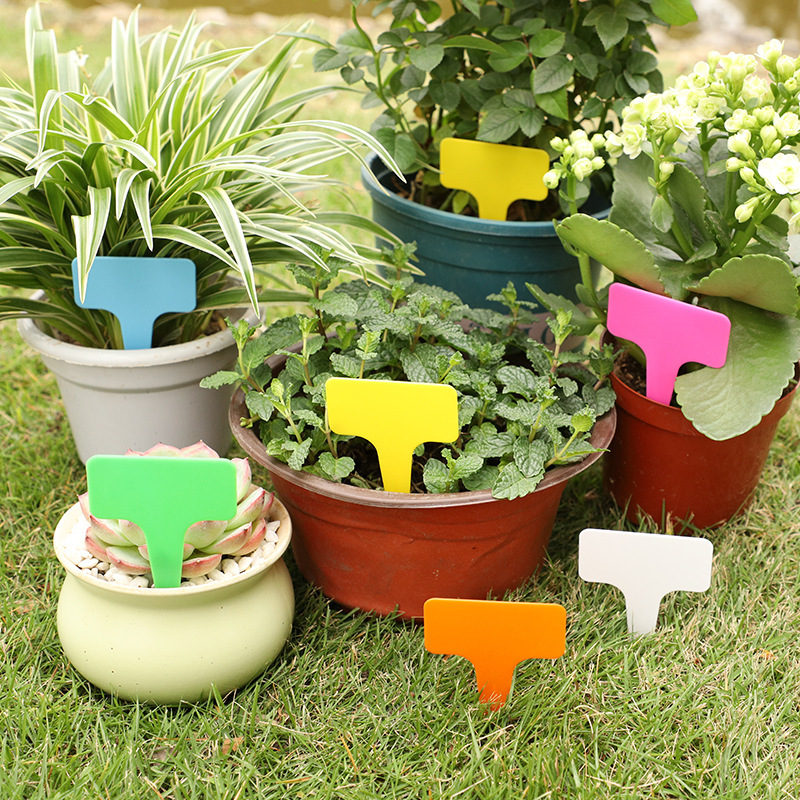 Horticultural label T-type succulent plant flower plate plastic rainproof seedling flower pot sign factory wholesale