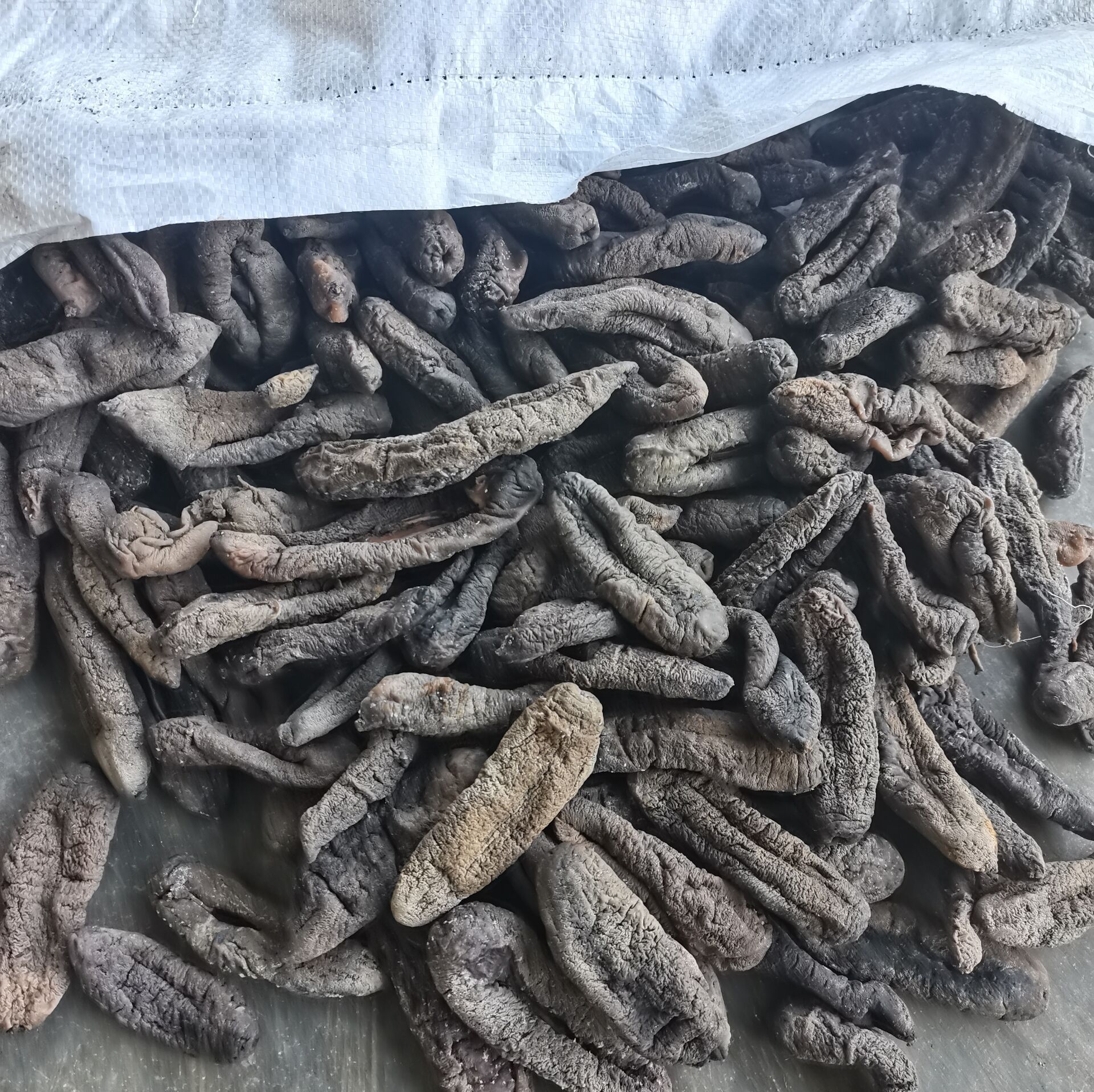 Medium Eggplant Ginseng, No Mud, Salt in the Vat, High Swelling, Thick Flesh, Even Size, Skin Ginseng