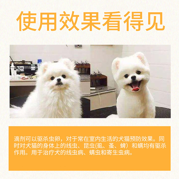 Pet Medicine, in Vitro Anthelmintic Medicine for Cats, Special Cat Flea Removal, Tick Removal, Lice Removal and Insect Repellent Drops