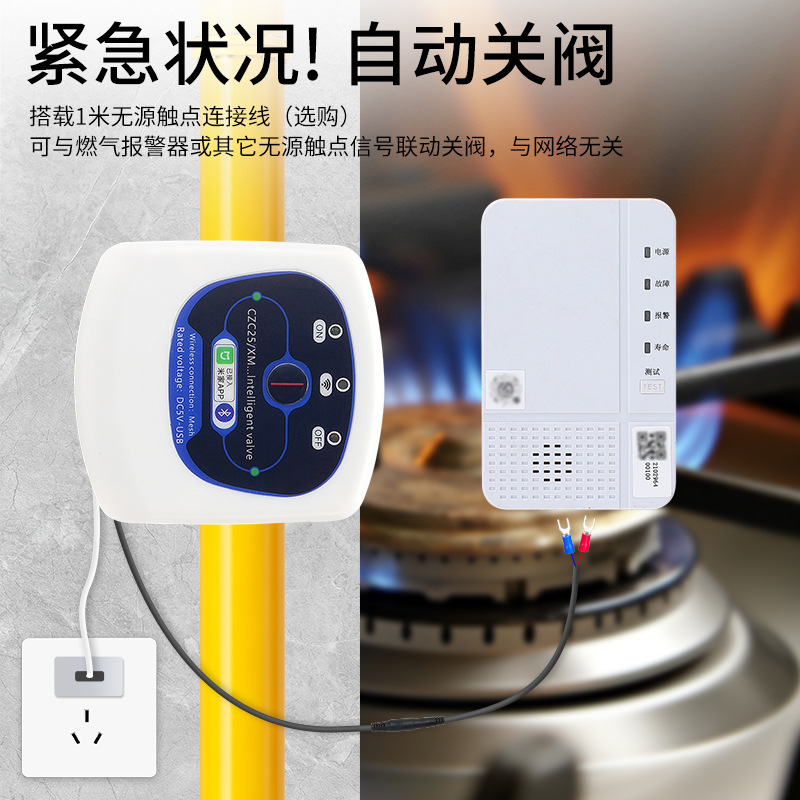 Water Leakage Protection Smart Valve Electric Ball Valve Manipulator Water Immersion Guard Sensor Gas Self-Closing Valve Intelligent Control