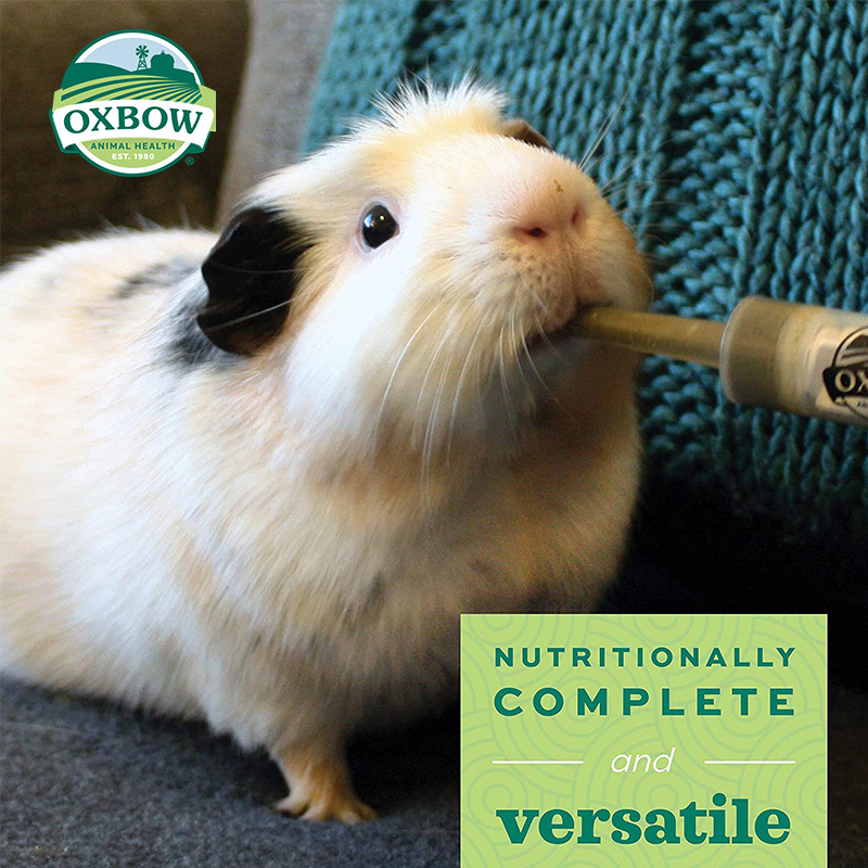 American Aibo Grass Powder Highly Nutritious Grass Powder for Frail and Sick Pregnant Chinchillas, Rabbits and Guinea Pigs to Supplement Nutrition