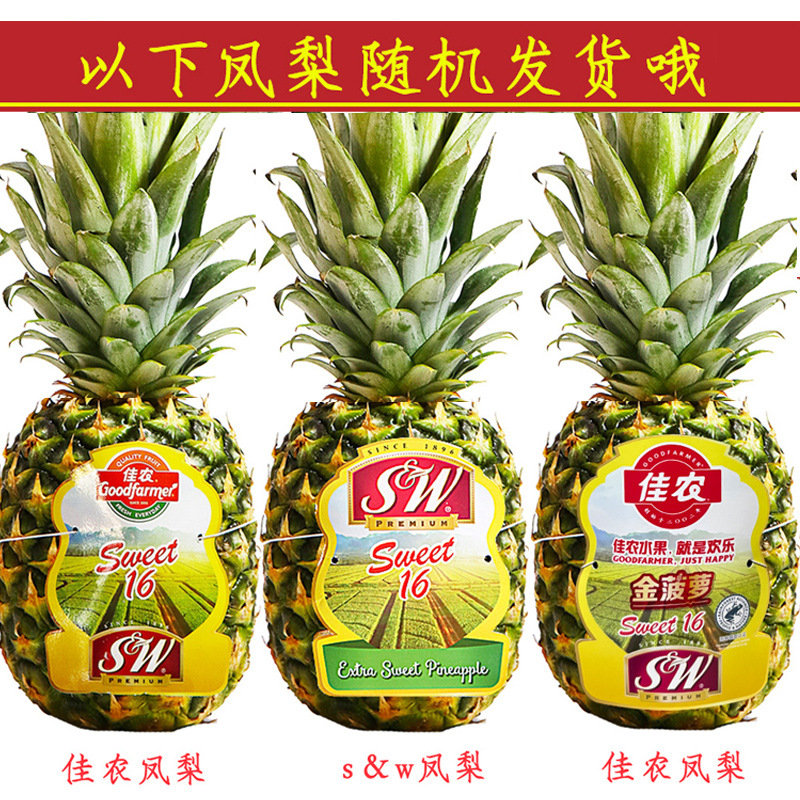 Goodfarmer Pineapple Fruit Fresh 2 Large Fruits Peeled and Ready to Eat Sw Philippine Imported Golden Pineapple Fruit Free Shipping