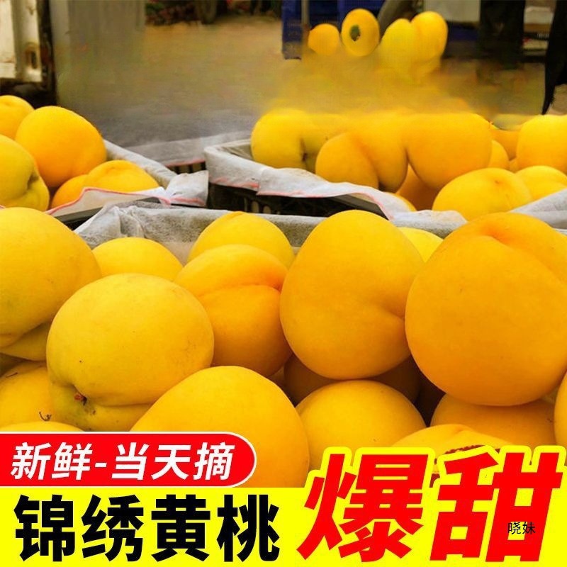 Jinxiu Huangtou Pure Sweet Large Yellow Peach Fresh Fruit Peach Crisp Sweet Fuzzy Peach Whole Box