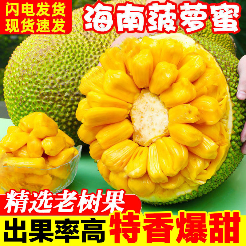 Целый свежий фрукт джекфрут Хайнань, сезонный, желтая мякоть, оптовая продажа, бесплатная доставка
