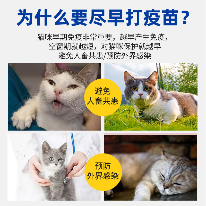 Jinyu Biotech Golden Meow Le Domestic Miaosiduo Cat Triple Vaccine for Kittens and Cats, Alternative to Feline Herpesvirus and Calicivirus Vaccine