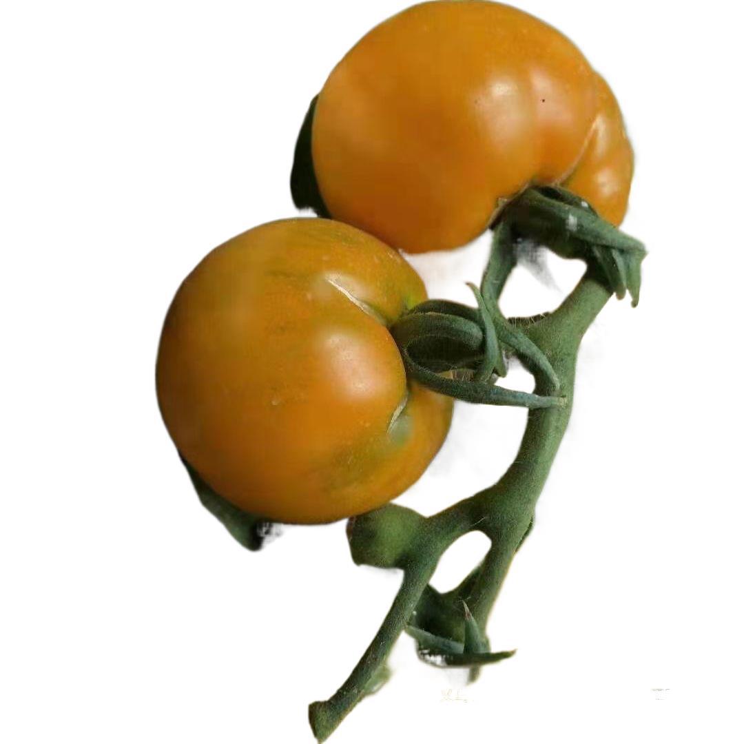 Inner Mongolia Wuyuan Yellow Persimmons, Iron-Skinned Persimmons, Freshly Picked Medium-Sized Tomatoes, Seasonal Fruits, Fresh to Eat