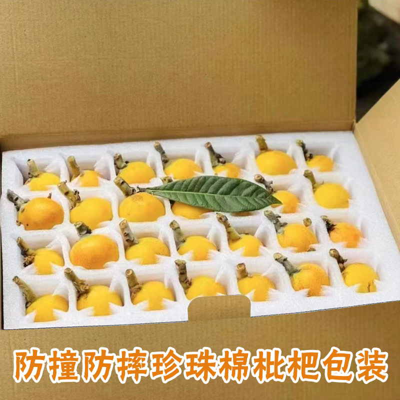 Zhejiang White Jade Loquat Fresh Fruit for Pregnant Women, Freshly Picked and Delivered in Sf Express Gift Box