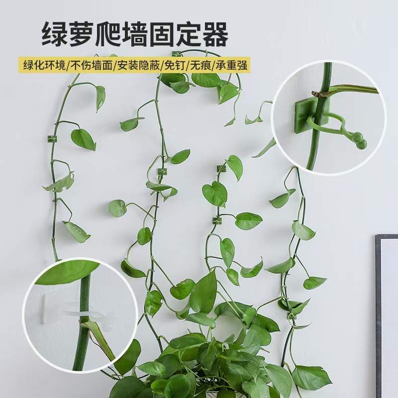 Держатель для зеленой редьки, домашние вьющиеся и зеленые растения, без следов, без гвоздей, для вертикального озеленения