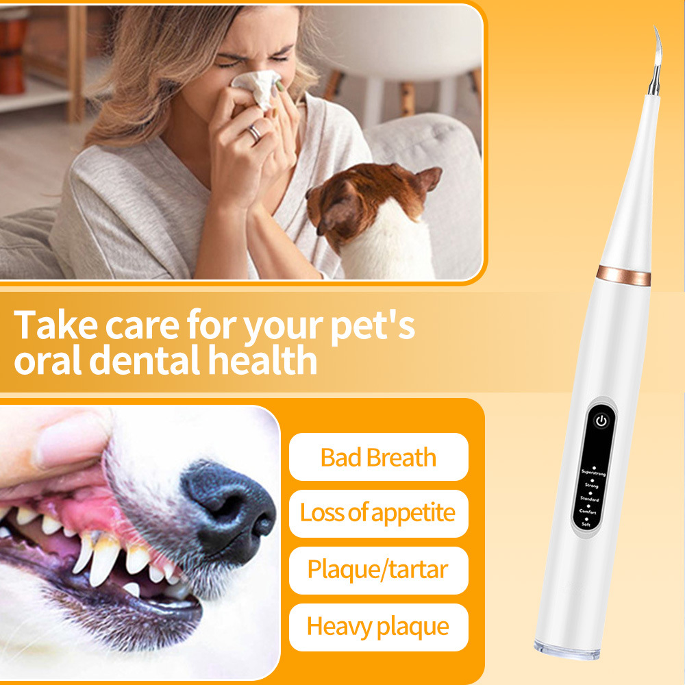 Dog dental scaler dental calculus remover pet beauty ultrasonic electric dental cleaning instrument cat teeth cleaning suit