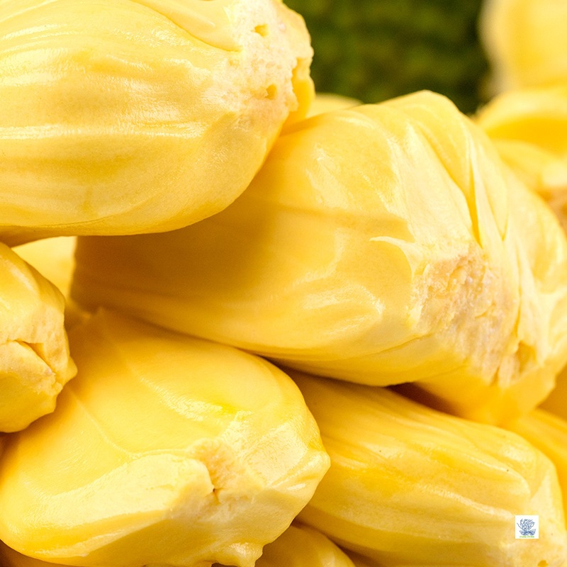 Hainan Jackfruit, Whole Dried Buds, Fresh Fruit, Yellow-Fleshed Jackfruit, Crispy and Sweet, Seasonal Whole Box, Free Shipping Specialty