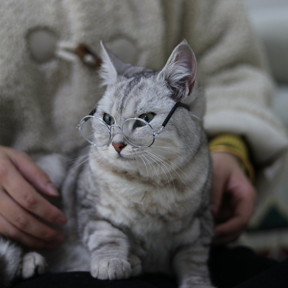 Pet glasses cat supplies creative trend dog pet supplies new strange funny cat sunglasses in stock wholesale