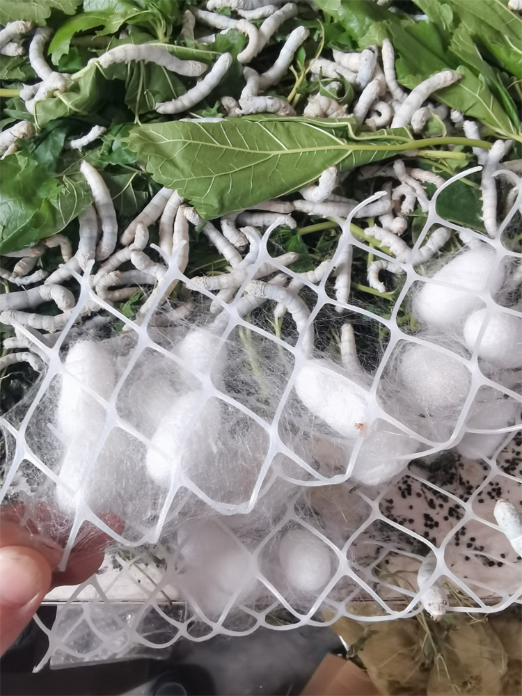 Self-raised natural silkworm cocoons can be made into complete silk quilts to make fans diy double palace dried silkworm cocoons