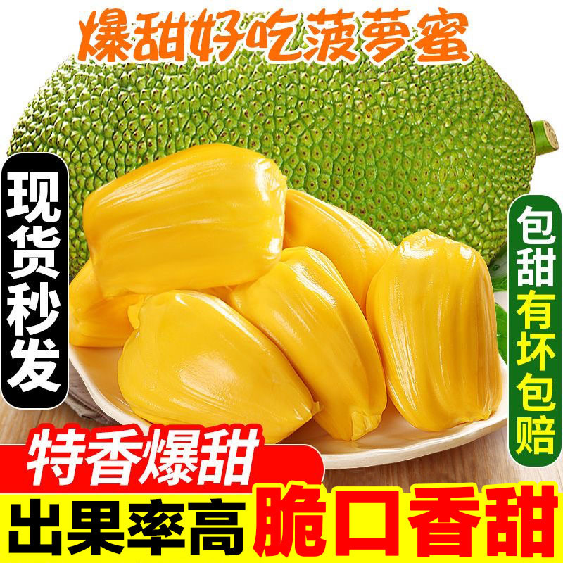 Hainan Sanya Jackfruit a Whole Fresh Fruit Seasonal Yellow Flesh Jackfruit Wholesale Whole Box Free Shipping