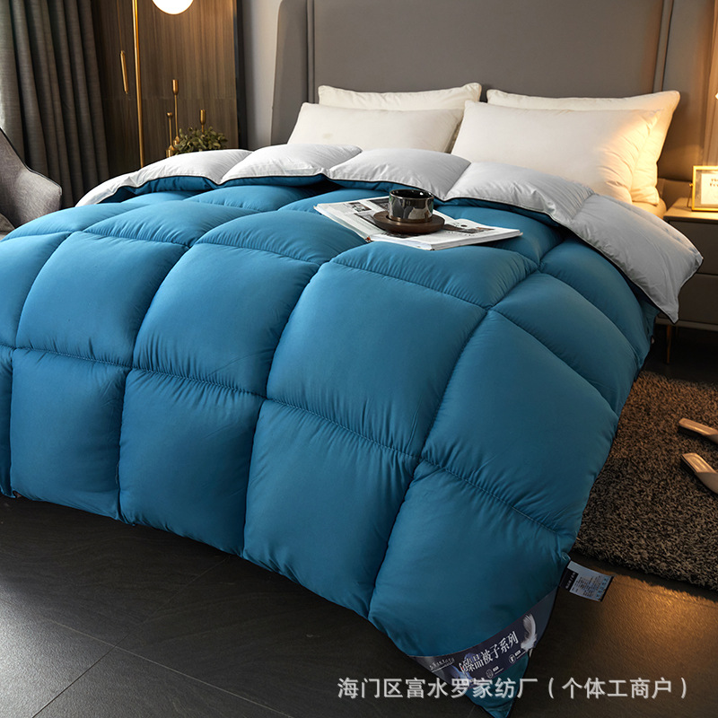 Foreign Trade Home Textiles Duvet Spring & Fall Quilt Core Winter Quilt Thickeneded Warm Single and Double Student Quilt Winter Quilt