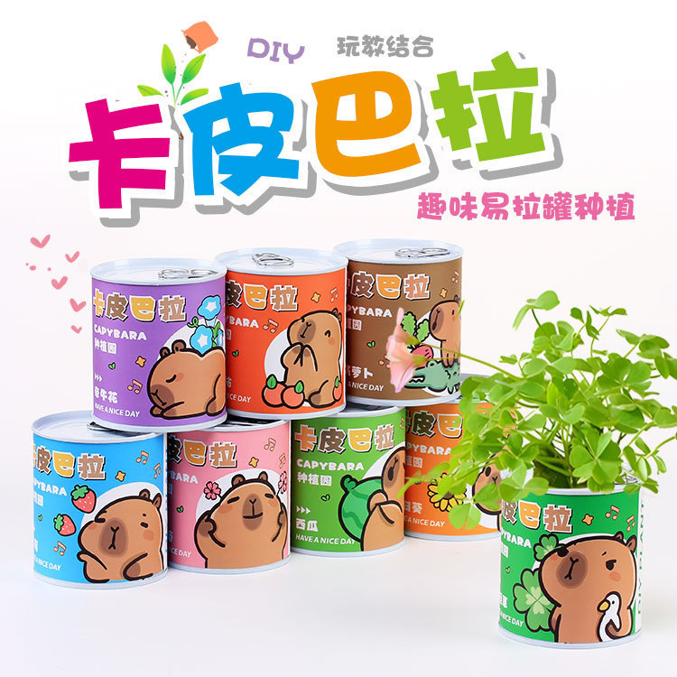 Children's Reward Small Gift Pull-Tab Canister Potted Indoor Mini Desktop Green Plant Trendy Canned Decorative Small Potted Plant