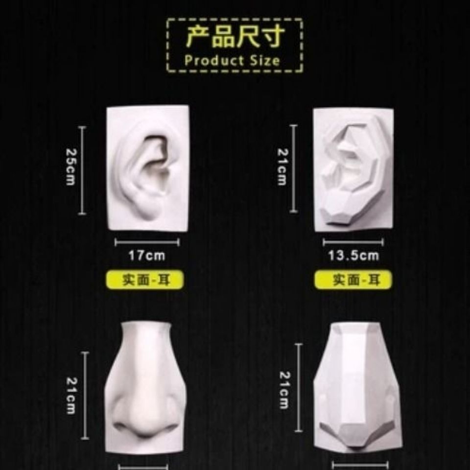 Plaster image of facial features solid face, eye, ear, nose and mouth model sketch still life art painting studio decoration plaster eye Ge Kun