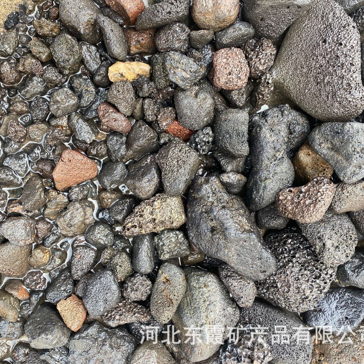 Volcanic Rock Aquarium Substrate for Planting Aquatic Plants, Filter Stones, Aquarium Surface, Traditional Method for Raising Fish and Turtles, Rounded Volcanic Mineral Stones