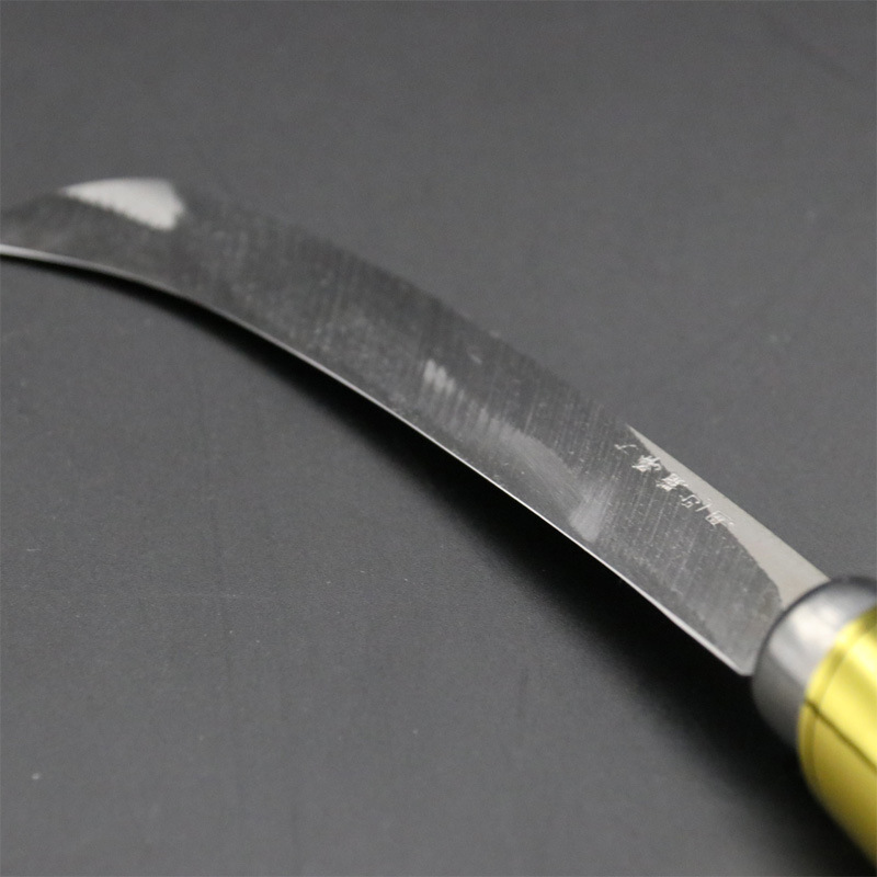 Small Curved Knife, Pineapple Knife, Banana Knife, Peeling Knife, Vegetable Cutting Knife, Stainless Steel Sharp Knife, Free Shipping