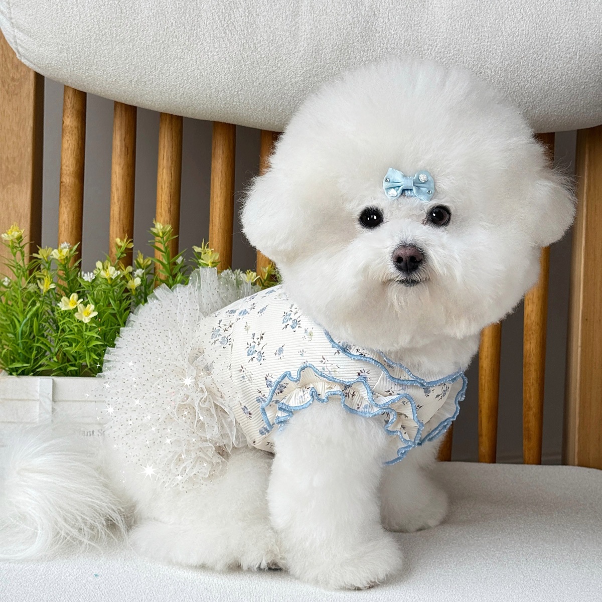New cute wind ice silk cotton pet dog cat puffy dress teddy bear can be pulled clothes wholesale