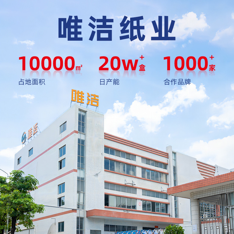 Customized Soft-Pack Tissue Paper, High-End Color-Pack Advertising Paper Towels, Printable Logo, Gas Station, Bank, Corporate Soft Tissue Customization